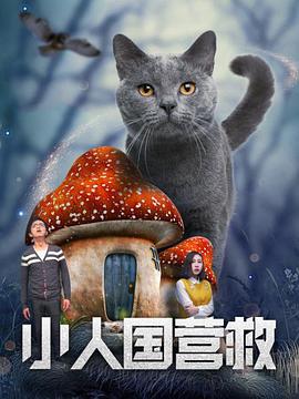 h国产在线